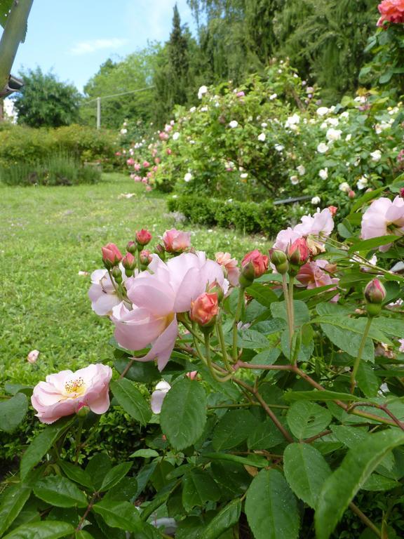 B&B The Roses Garden Millesimo Kültér fotó